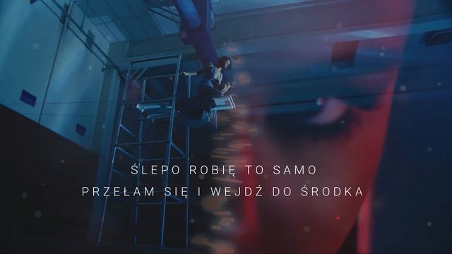 Selena Gomez, Marshmello - Wolves | TŁUMACZENIE PL смотреть онлайн