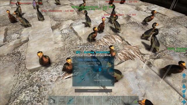 Ark: Survival Evolved Mutation Zoo E13 - MASS HESPERORNIS BREEDING AND COLOR MUTATIONS! смотреть онлайн