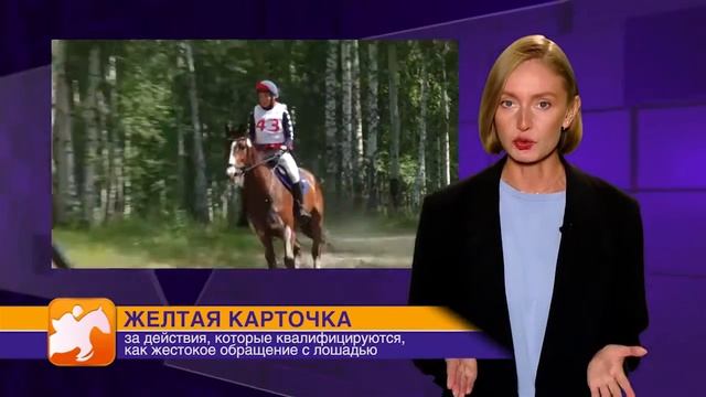Часть 27. Региональный семинар для судей по троеборью смотреть онлайн