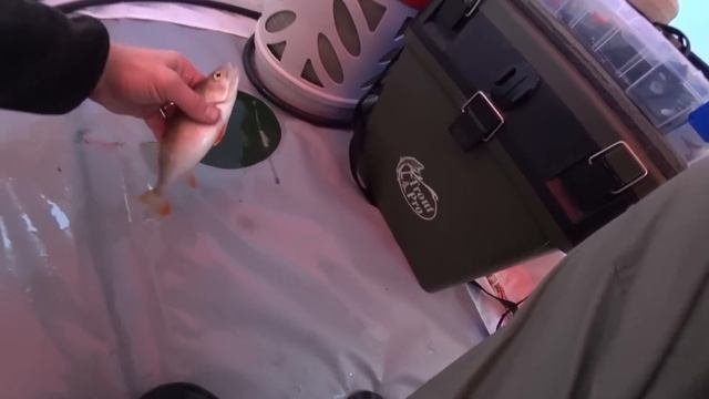 Зимняя Рыбалка С Ночёвкой.2018-2019!!! Дом На Льду. Рыбалка Будущего. Как Поймать Леща. смотреть онлайн