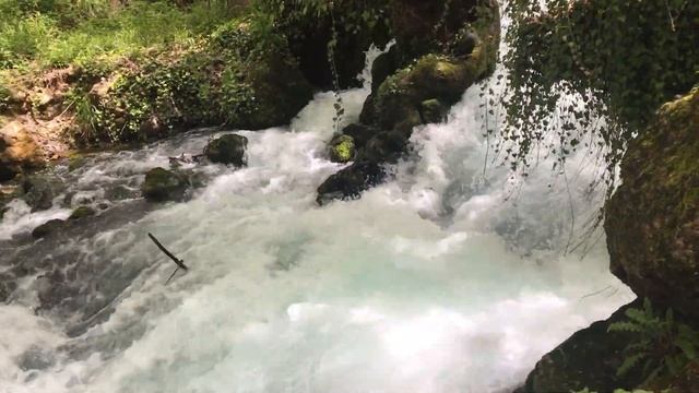 ERMENEK TARİHİ ZEYVE PAZARI смотреть онлайн