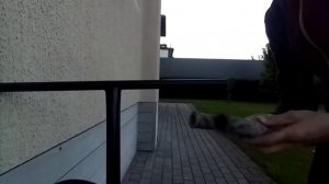 Как поменять грипсы на самокате