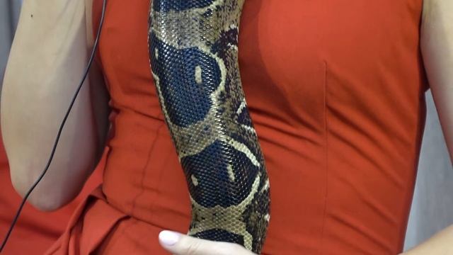 Отзыв - Анастасия смотреть онлайн