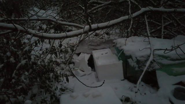 Домашний приют. Первый снег. смотреть онлайн