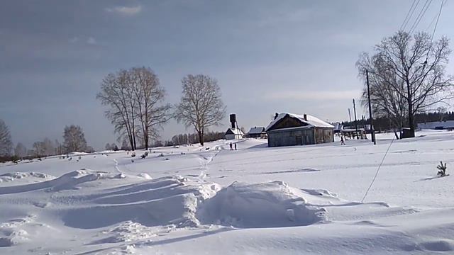 Томская область ,# д.86квартал , #тайга смотреть онлайн
