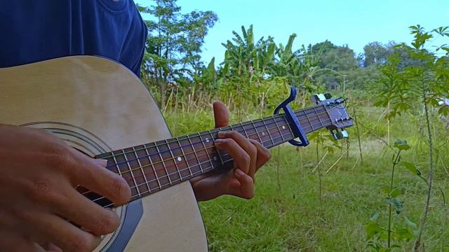Zayn ft.sia - Dusk Till Dawn fingerstyle guitar arr Eddie van der Meer смотреть онлайн