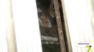 Поездка над пропастью на Крымской