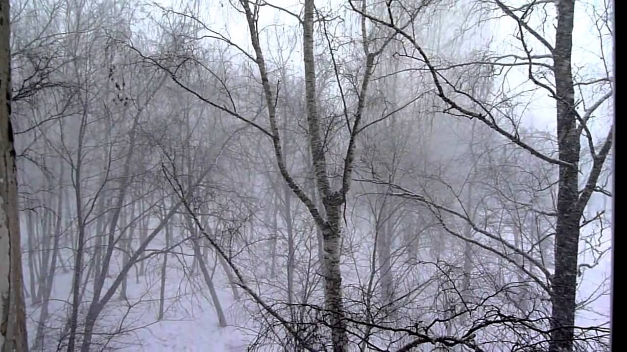 Метель в марте