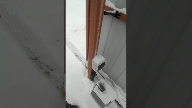 Греющий кабель в зоне работы откатных ворот. смотреть онлайн