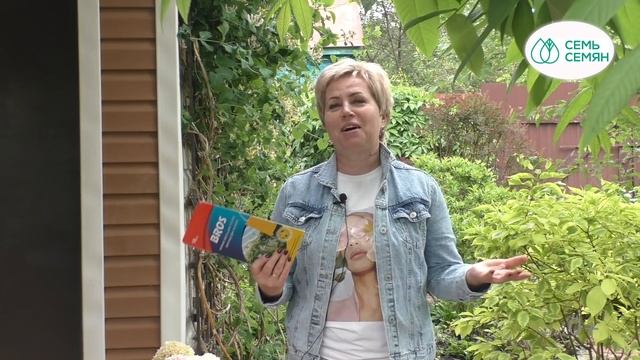 КАК БОРОТЬСЯ С БЕЛОКРЫЛКОЙ! ДЕЙСТВЕННЫЕ МЕТОДЫ!