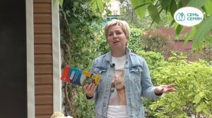 КАК БОРОТЬСЯ С БЕЛОКРЫЛКОЙ! ДЕЙСТВЕННЫЕ МЕТОДЫ!