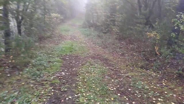 Нижняя Тура "Лисья тропа" до водопада "Весенний" ЭКО- туризм. плюсом АРТ -туризм смотреть онлайн