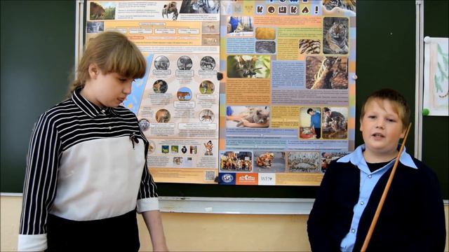 ПОЛОСАТЫЙ ХОЗЯИН ТАЙГИ