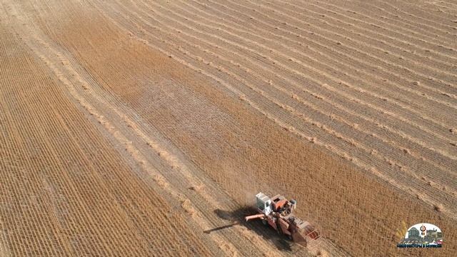 Комбайн Нива Ск5 на уборке сои и аэросъёмка смотреть онлайн
