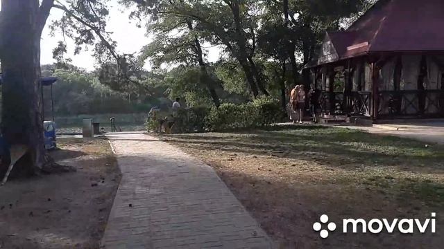 Санаторий Новомосковский Обзор. Отдых в Орловщине. Гадюка в речке. смотреть онлайн