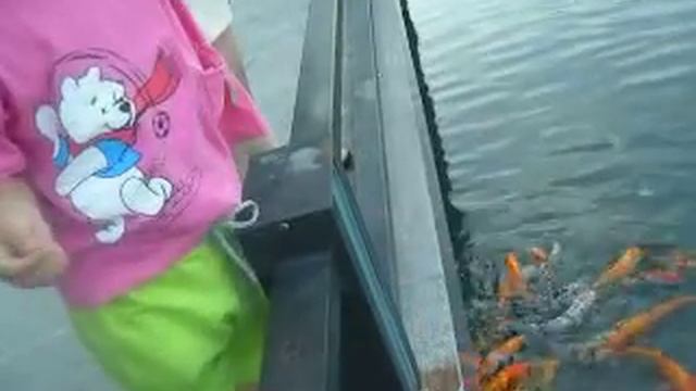 阿盟 Sanya Airport fish 200804301759 смотреть онлайн