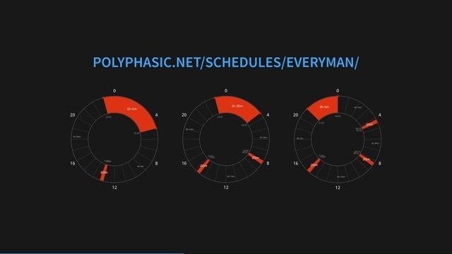Hack Your Brain with Polyphasic Sleep смотреть онлайн