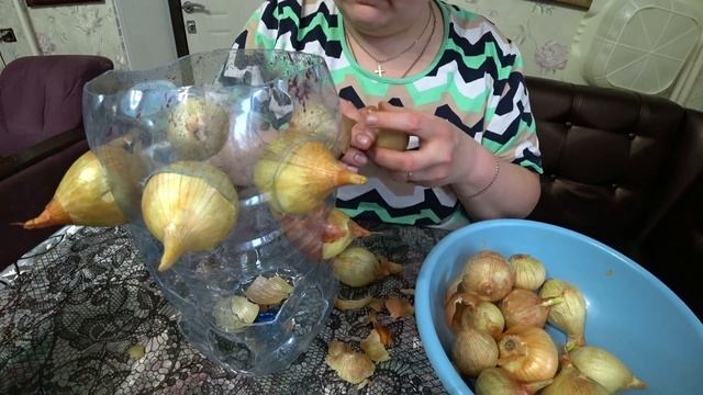 Лайфхак. Выращивание зеленого лука на майские праздники смотреть онлайн