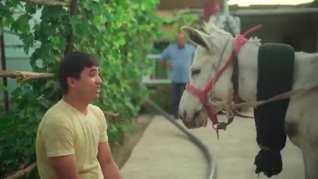 QICHU QUDRAT 1 QISM смотреть онлайн