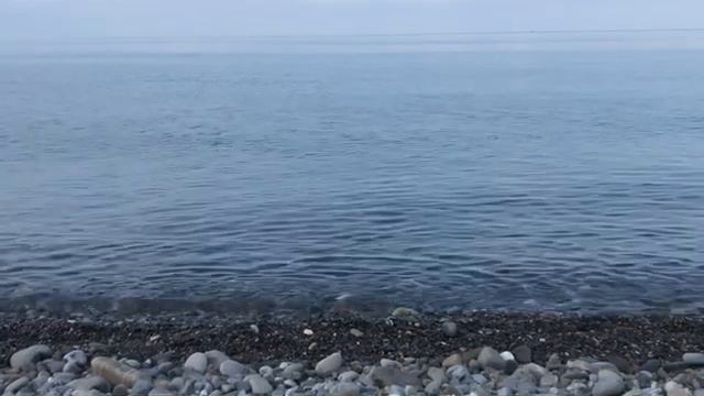 Лазаревское, пляж около санатория Волна