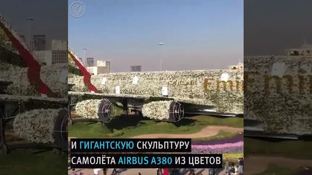Самый большой цветочный парк в мире смотреть онлайн