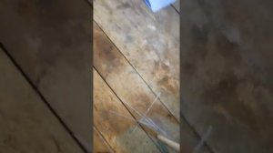 Дисковые тормоза на луаз