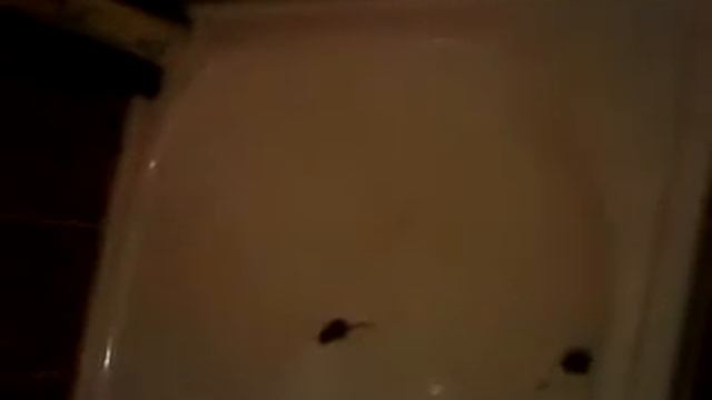 К чему мыши....... смотреть онлайн