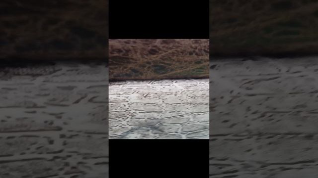 Я в плену помогите
(это шутка)