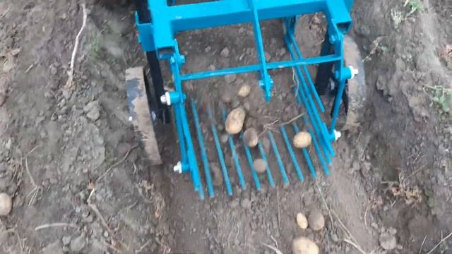 копаем картофель мотоблоком Мтз 09н 04,09,21г смотреть онлайн