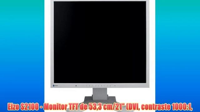 Eizo S2100 - Monitor TFT de 533 cm/21 (DVI contraste 1000:1 tiempo de reacción de 8 ms) weiß/beige смотреть онлайн