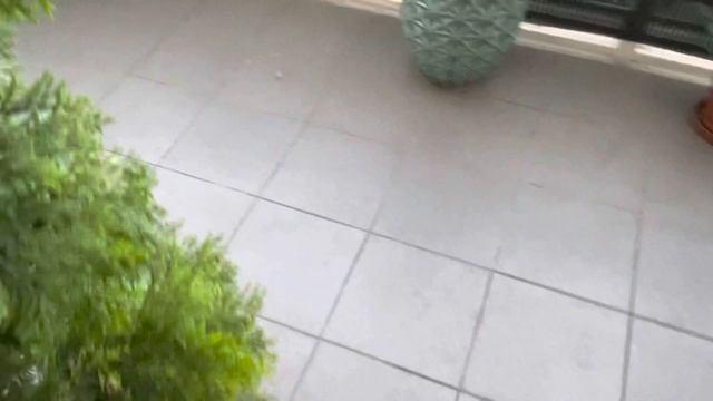 Daikin Comfora .... kutya és whisky смотреть онлайн
