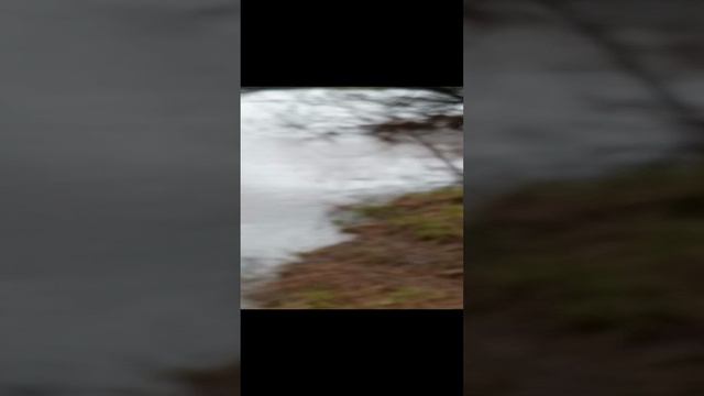 село Усть -кишерть 11 мая  2024 года. Попытался порыбачить, и отдохнуть-но увы .