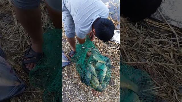 Астана рыбалка озеро Галымжан. смотреть онлайн