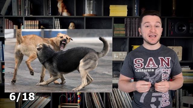 ЧТО Делать Если на ТЕБЯ нападает собака? Это нужно знать! смотреть онлайн