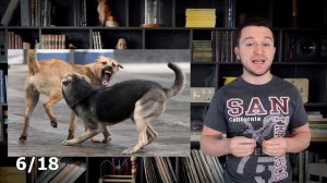 ЧТО Делать Если на ТЕБЯ нападает собака? Это нужно знать!