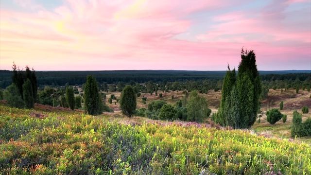 Таинственные ночи