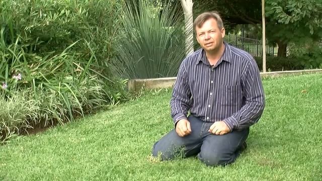 Killing And Keeping Weeds Out Of Your Lawn смотреть онлайн