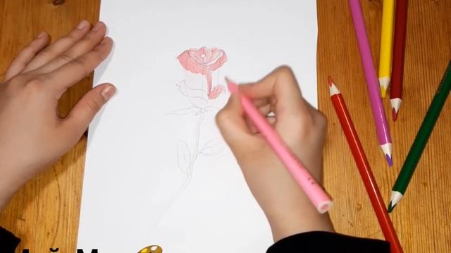 Девочки рисунок розочки для вас очень легко и просто нарисовать ? смотреть онлайн