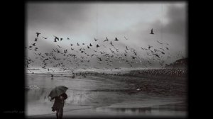 Музыкант. Олег Скобля