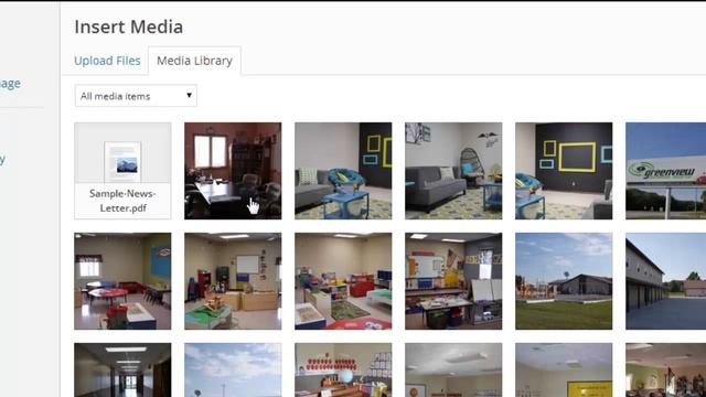Adding a pdf file to a Wordpress site (google doc embedder) смотреть онлайн