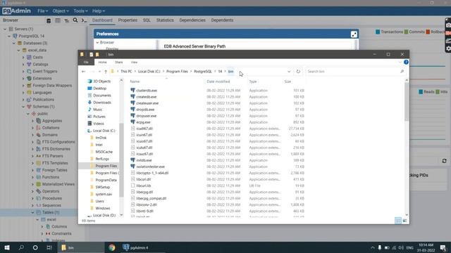 preference in PostgreSQL (Binary Path ) or set preference in pgAdmin смотреть онлайн