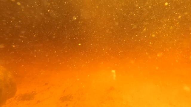 Реакция рыбы на прикормку из магазина Подводные съемки смотреть онлайн