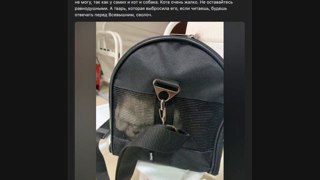 Мы в ответе за тех, кого приручили? смотреть онлайн