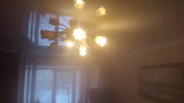 Профилактическая обработка от тараканов, блох, клопов, муравьев холодным туманом. смотреть онлайн