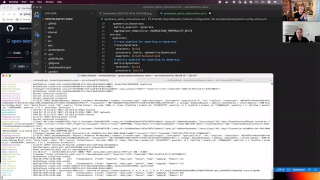 OpenTelemetry Demo App with Dynatrace смотреть онлайн