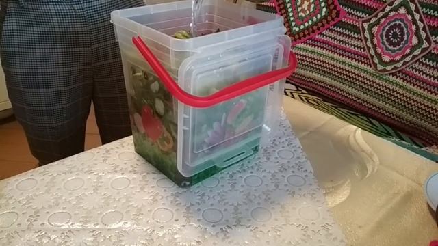 Магическое откровение