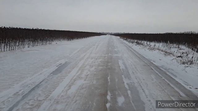Отвечаю на вопрос подписчицы|Уборочная страда в зимнее время,есть ли смысл?Провожу эксперимент| смотреть онлайн