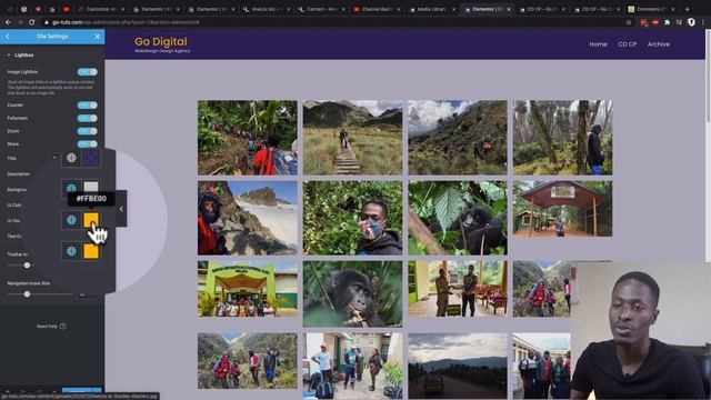 Customise the Image Lightbox in Elementor 3.0 (Elementor Lightbox Settings) смотреть онлайн