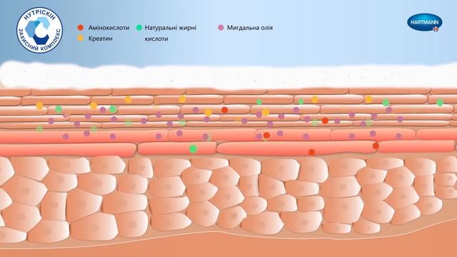 Захисний крем Молікар Скін / MoliCare Skin Barrier Cream смотреть онлайн