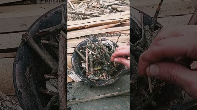 Как коптить Сулугуни дома. Приметивная Коптильня смотреть онлайн